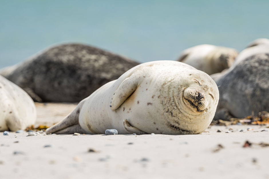 Photo by Zdeněk Macháček on Unsplash